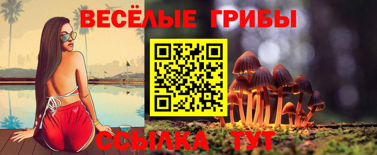 Галлюциногенные грибы MAGIC MUSHROOMS  Галлюциногенные грибы Psilocybine cubensis  Волхов  Вход с VPN 
