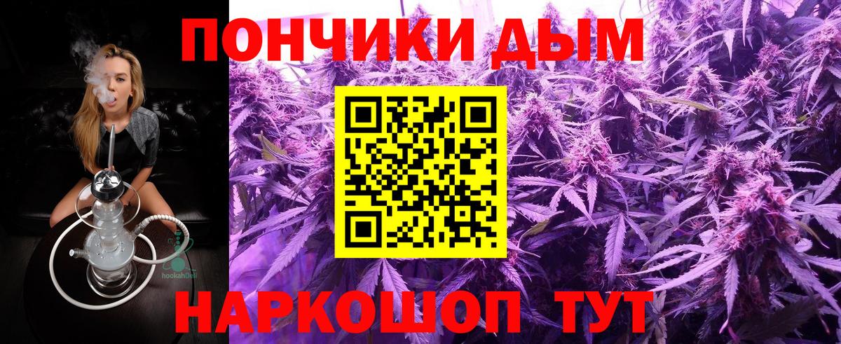 Волхов  Бошки Шишки SATIVA & INDICA  Бошки Шишки тримм  Вход с VPN  Марихуана индика 
